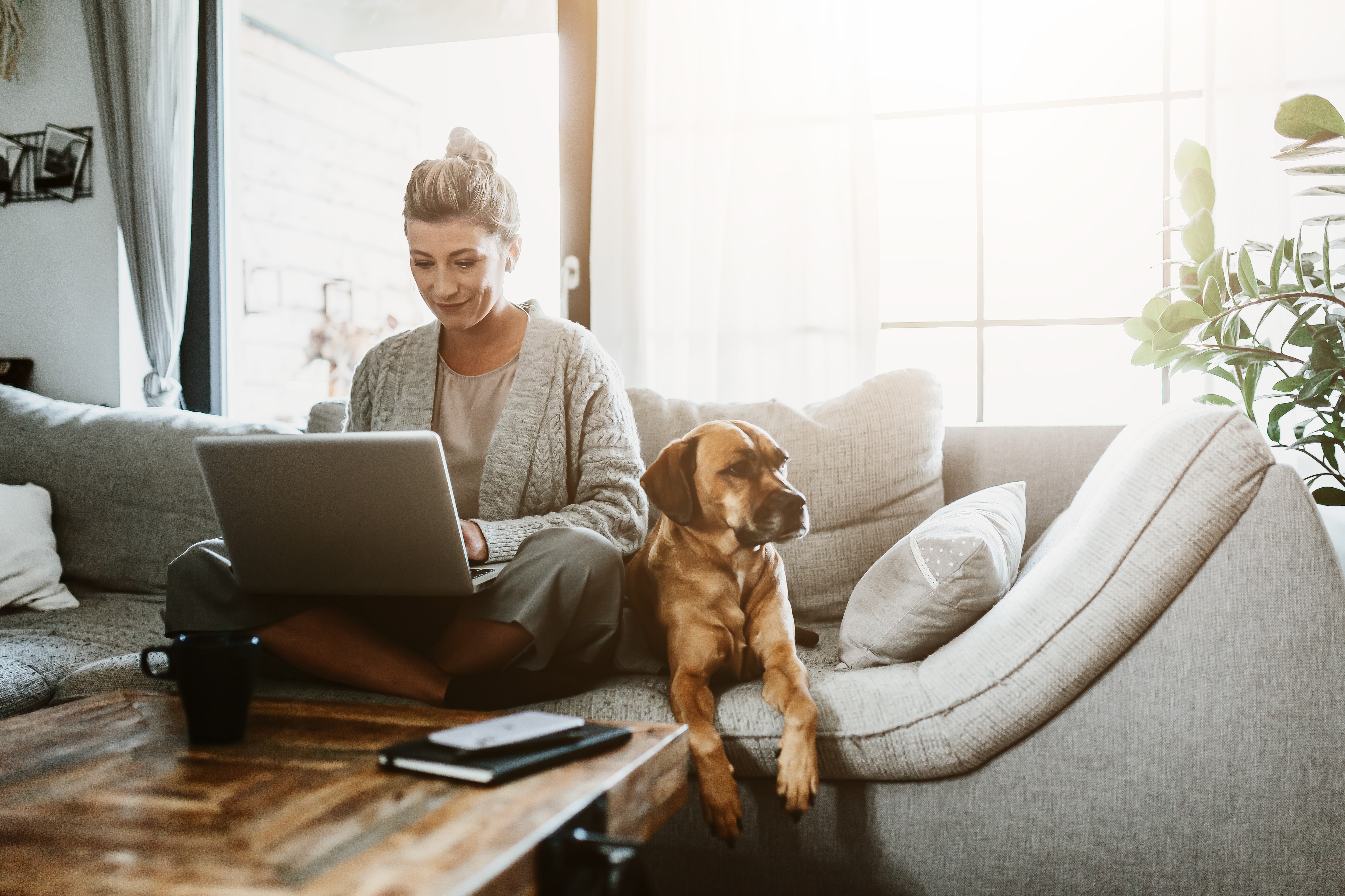 Businesswoman Working On Laptop Computer Sitting At Home With A Dog Pet And Managing Her Business Via Home Office During Coronavirus Or Covid19 Quarantine